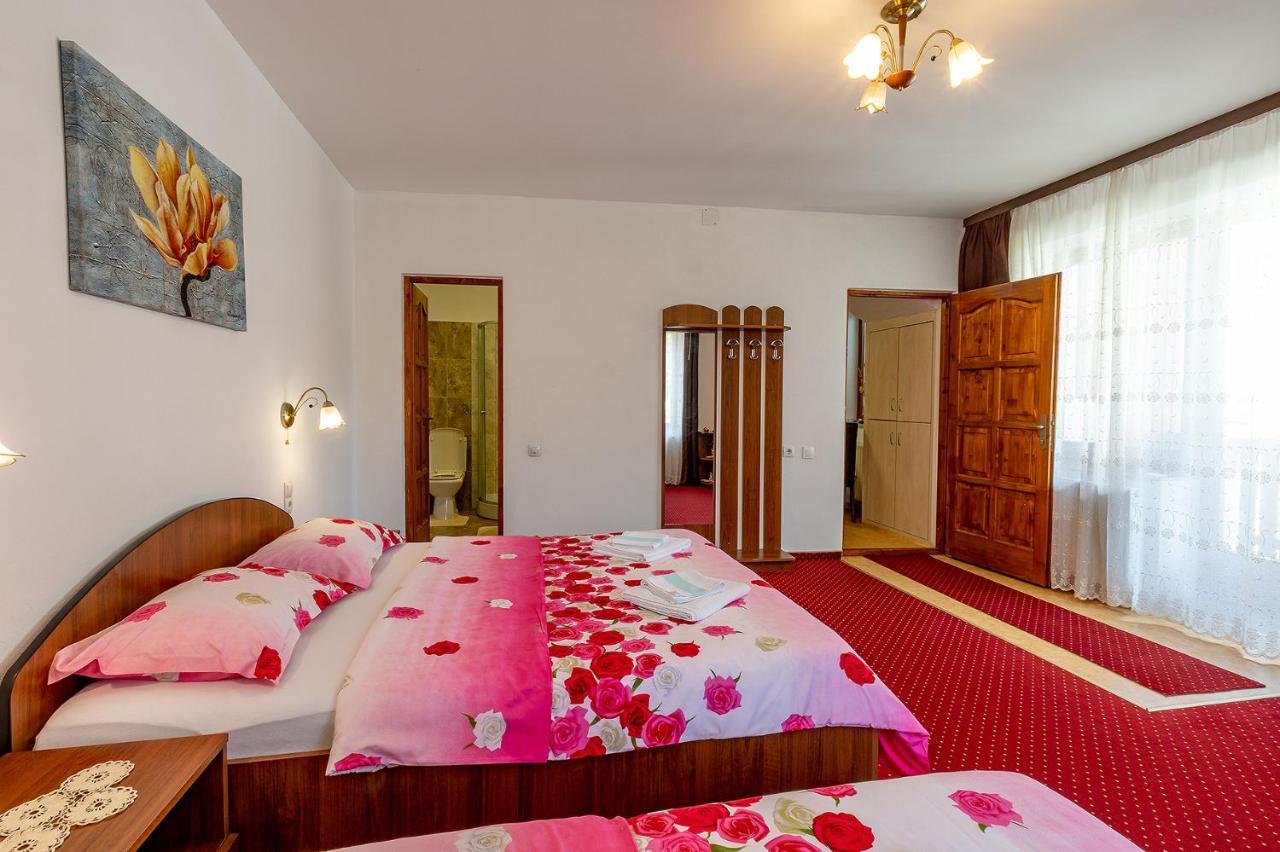 Casa Steluta Aparthotel Sighişoara Buitenkant foto